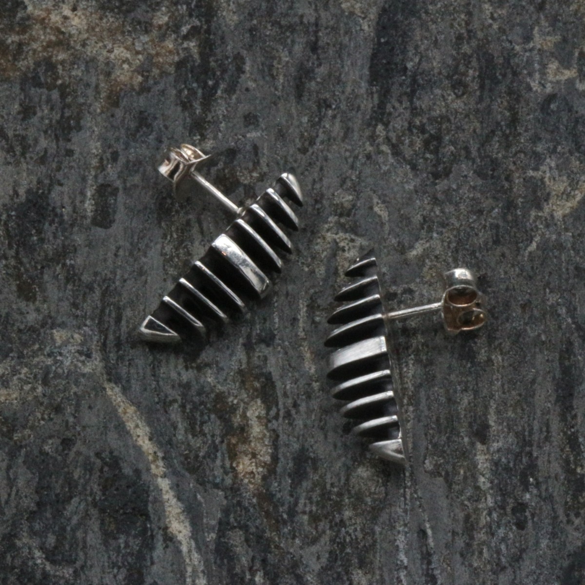 Hook earrings Raquis