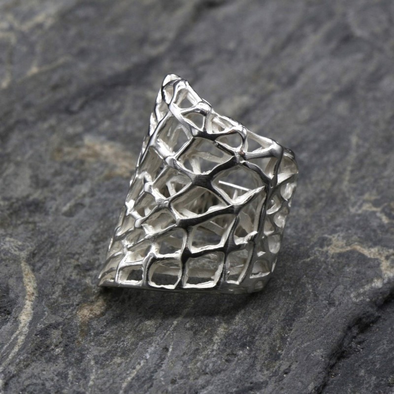 Anillo Red 2