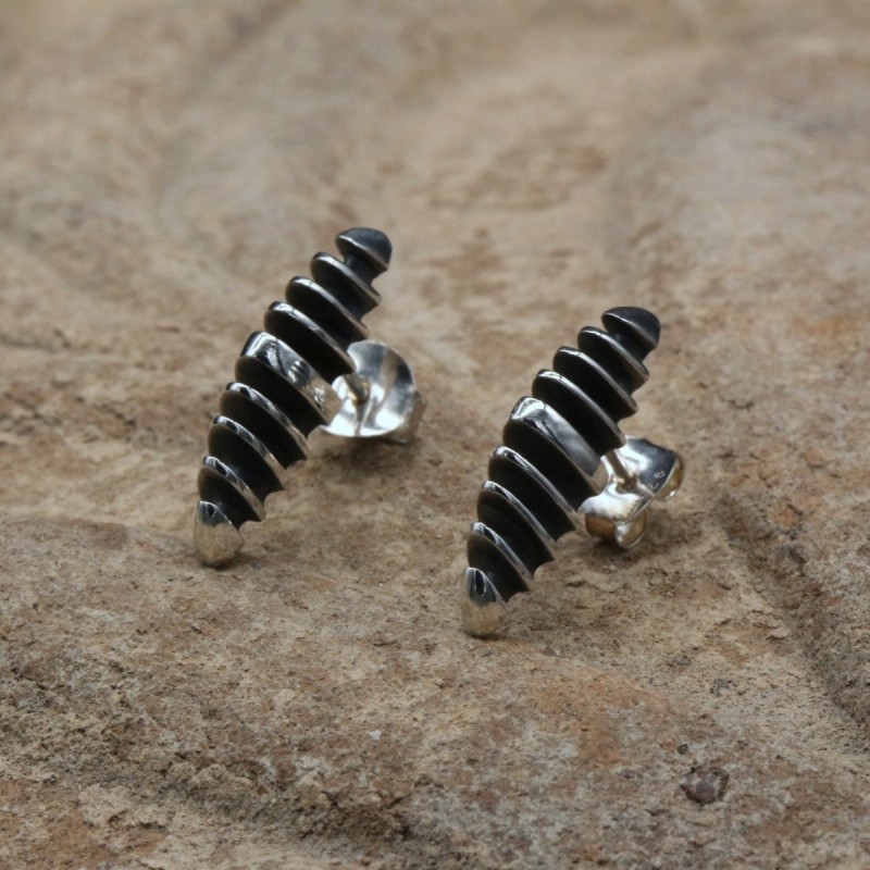 Hook earrings Raquis 2