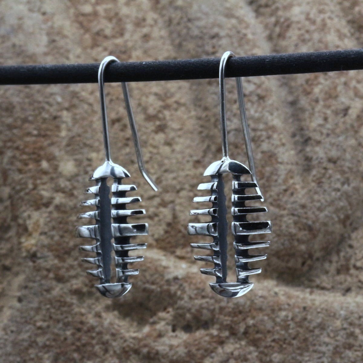 Hook earrings Raquis