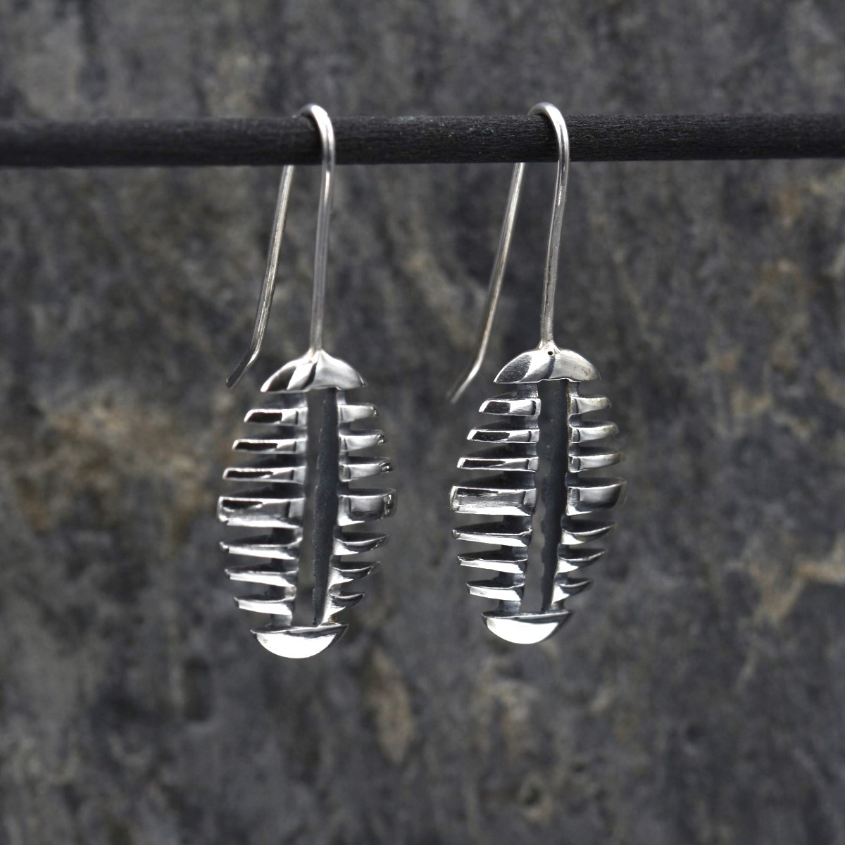 Pendientes Raquis gancho