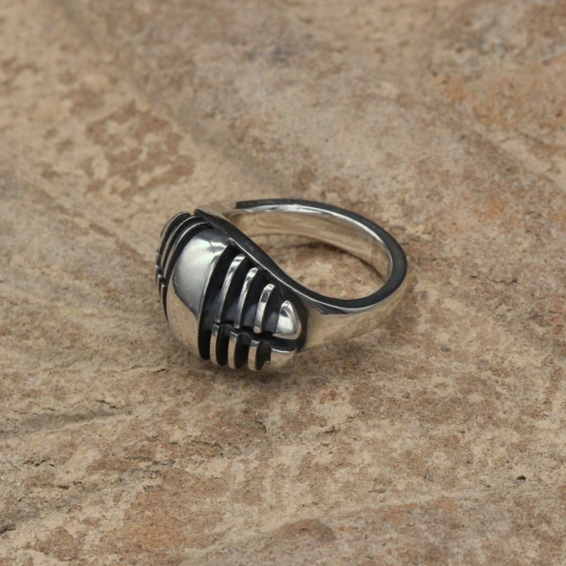 Anillo Raquis 2